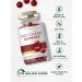 Carlyle Tart Cherry Gummies 2000mg - 150ct | Natural Cherry Flavor | Vegan, Non-GMO, Gluten Free - Buy Online on GoSupps.com