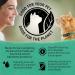 Beyond Grain Free Natural Dry Cat Food Wild-Caught Whitefish & Free Run Egg - 5 kg Bag 5 kg (Pack of 1) - Buy Online on GoSupps.com