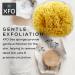 ideelz XFO Sea Sponge (Medium 4.5) - All Natural Yellow Loofah Sponge for Bathing and Exfoliating | USA Grown - Buy Online on GoSupps.com