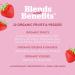 360 Nutrition Blends with Benefits Reds & Superfoods for Natural Antioxidants and Polyphenols with Fruits & Veggies Probiotics Digestion Daily Energy - Berries & Cream - 30 Servings - Buy Online on GoSupps.com