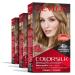 Permanent Hair Color by Revlon Permanent Blonde Hair Dye Colorsilk with 100% Gray Coverage Ammonia-Free Keratin and Amino Acids Blonde Shades (Pack of 3) 61 Dark Blonde