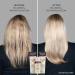 John Frieda Blonde+ Repair System Bond Building Conditioner | STEP 3 | Repairs Strengthens and Nourishes Blonde Damaged from Lightening 250mL - Buy Online on GoSupps.com
