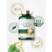 Carlyle Olive Oil Supplement 2000mg | 120 Softgels | Cold Pressed Extra Virgin, Non-GMO, Gluten Free - Buy Online on GoSupps.com