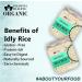 Blessfull Healing Organice IDLY Rice 1 lb (453 Gram) - Buy Online on GoSupps.com