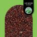 Buy 100% Natural Azuki Beans 500g | Vegan Additive-Free Adzuki Beans for Healthy Living - Buy Online on GoSupps.com