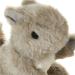 Gor Pets Soft Dog Toy Plush Wild Squirrel Grey - Buy Online on GoSupps.com