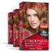 Permanent Hair Color by Revlon Permanent Brown Hair Dye Colorsilk with 100% Gray Coverage Ammonia-Free Keratin and Amino Acids Brown Shades (Pack of 3) 57 Lightest Golden Brown
