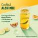 Teisseire Passion Fruit Syrup for Refreshing Drinks Cocktails Recyclable Bottle (Pack of 1) - Buy Online on GoSupps.com