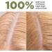 LAZARTIGUE LA COULEUR ABSOLUE - Permanent Hair Dye with Professional Pigments - Ammonia PPD Resorcinol Mineral Oils and Silicone Free 1 box 7.00 - Blond - Buy Online on GoSupps.com