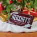 Hershey's Milk Chocolate Candy 1 lb Gift Bar | Gluten Free | Giant Hershey's 1lb Bar - Buy Online on GoSupps.com