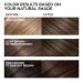 L'Oreal Paris Superior Preference 5 Medium Brown Hair Color - Fade-Defying & Shine-Enhancing Formula - 1 Count - Buy Online on GoSupps.com