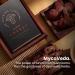 The Sporing Company Mycoveda Energy - Stamina Boost and Endurance with Cordyceps Ashwagandha Guarana - Buy Online on GoSupps.com