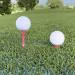 GoSports XL Golf Tees - 200 Player's Pack - 3.25 Inch Premium Wooden Tees - Choose Pink Tee Color - Buy Online on GoSupps.com