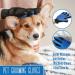 Pets First Deshedding Grooming Gloves for Dogs & Cats - Professional Pet Hair Remover & Cleaning Mitt - Buy Online on GoSupps.com