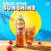 Lipton Ice Tea Framboise Still Lot de 12 boissons gazeuses 500 ml - Buy Online on GoSupps.com