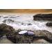 Hoya 77mm NXT Plus Circular Polarizer Filter - Slim Frame Glass Filter - Buy Online on GoSupps.com