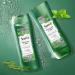 Suave Revitalizing Rosemary + Mint Conditioner - Paraben Free 12.6 oz | Nourish & Refresh Hair - Buy Online on GoSupps.com