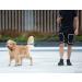 iYoShop Hands Free Dog Leash with Zipper Pouch - Dual Padded Handles, Durable Bungee for Walking, Jogging, Running - Medium/Large Black - Buy Online on GoSupps.com
