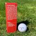Shanker Golf Exploding Balls - Sleeve of 3 Funny Prank Balls for Golfers - Buy Online on GoSupps.com