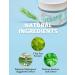 Buy VERTTY Tea Tree XYLITOL Hydrating Facial Cream | Cooling & Moisturizing Water Cream for Teens & Kids | Non-Comedogenic Redness Relief | Long-lasting Hydration (2oz - Buy Online on GoSupps.com