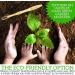 Lingito 6-Pack Natural Charcoal Bamboo Toothbrushes | BPA Free Soft Bristles | Eco Friendly & Vegan | Compostable Organic Toothbrushes | Individually Numbered Active Brushes - 6 Count - Buy Online on GoSupps.com