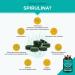 Buy Certified Organic Spirulina Tablets | 200 Pieces - 500mg High Dose Vegan Lab Tested No Additives - Buy Online on GoSupps.com