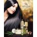 Buy Hair Chemist Macadamia Oil Revitalizing Combo: Shampoo Conditioner Deep Repair Masque & Hair Serum - Nourish Your Hair - Buy Online on GoSupps.com