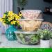 PLASTICPRO 96 OUNCE Disposable Round Serving Bowls with Lids - Clear Chip, Snack, Candy, Salad Bowl - Party Essentials - Buy Online on GoSupps.com