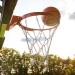 Franklin Sports Basketball Nets: Durable and Reliable Nets for Hoops Enthusiasts - Buy Online on GoSupps.com
