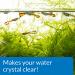 API ACCU-CLEAR 8-Ounce Water Clarifier for Freshwater Aquariums - Clears Cloudy Water Fast! - Buy Online on GoSupps.com