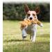 KONG Scrunch Knot Squirrel - Small Interactive Dog Toy | 1 Piece Pack - International Shipping Available - Buy Online on GoSupps.com