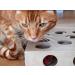 Unique Design - Interactive Indoor Cat Toy Puzzle Box As Seen on Channel 5 s The Secret Life of Kittens - Four Cat Toys Included 3 Balls and a Mouse Best Gift for any Cat Kitten or Their Owner! - Buy Online on GoSupps.com