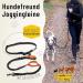 Premium Elastic-Free Jogging Leash for Large Dogs | 120-170 cm Adjustable | Orange | Comfortable Belly Belt & Removable Soft Loops - Buy Online on GoSupps.com