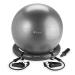 Gaiam Essentials Balance Ball & Base Kit, 65cm Yoga Ball Chair, Exercise Ball with Inflatable Ring Base for Home or Office Desk, Includes Air Pump Grey (w/ Resistance Cord)