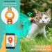 Cat Harness and Leash Escape Proof for Walking Travel Outdoor - Soft Nylon Adjustable Cute Cat Harness Leash Set with Airtag Holder for Small Large Cats Neck:7.6"-12" chest:10.6"-18" Orange - Buy Online on GoSupps.com