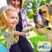 Handy Hound Paw Butter - Organic Dog Balm for Paws and Nose | Made in USA - Soothing Moisturizer for Dry Skin | 2 OZ - Buy Online on GoSupps.com