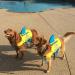 Landshark Pet Life Jacket Small - Buy Online on GoSupps.com