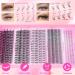 Geeneiya Natural Lash Clusters - D Curl Wispy Eyelash Extensions 560Pcs Faux Mink Individual Lashes for Stunning Volume - Shop Internationally - Buy Online on GoSupps.com