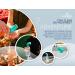 Suds2Go Refillable Caps 2 Pack - Universal Fit for Disposable Water Bottles - Hand Washing Station On-The-Go - Includes Soap Reservoir - Teal - Buy Online on GoSupps.com