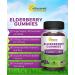 Sambucus Elderberry Gummies with Zinc and Vitamin C - Immune Support Supplement - 90 Chewable Gummies - Buy Online on GoSupps.com