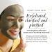 Borghese Advanced Fango Active Purifying Mud Mask - 2.7 Oz - Buy Online on GoSupps.com