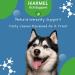 iKARMEL Doggy Dailies Probiotics for Dogs | Canine Supplements for Digestive and Immunity Support | Skin Health and Itch Relief | Vitamin Treats for Dogs | Probiotic (90 Chews) - Buy Online on GoSupps.com