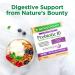 Nature's Bounty Acidophilus Probiotic Twin Pack - 200 Tablets for Digestive Health - Buy Online on GoSupps.com