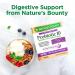 Nature's Bounty Controlled Delivery Probiotic Caplets - Digestive & Immune Health Support (30 Count) - Buy Online on GoSupps.com