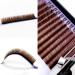 Lash Extension Supplies - 2 Trays 12 Rows Soft Faux Mink Individual Lashes Japanese Camellia Natural Series 0.05-C 10mm & 11mm Caramel - Shop Internationally - Buy Online on GoSupps.com