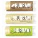 Hurraw! 3 Lip Balms Coconut Vanilla Pod & Lime Organic Certified Vegan Cruelty Free & Gluten Free Non-GMO 100% Natural Ingredients Bee Soy & Palm Free. Made in USA.