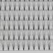 Large Tray 200pcs 8D D Curl 0.07mm Premade Volume Lash Extensions - Soft & Light Individual False Eyelashes (14MM) for Stunning Makeup - Buy Online on GoSupps.com