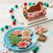 Christmas Sleigh Cookie Decorating Kit with Gingerbread Panels and Candies - Buy Online on GoSupps.com