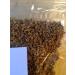 Organic Dried Elderberry Flower (Sambucus Nigra) - 6 Oz | 100% Pure Bio Herbs - Buy Online on GoSupps.com