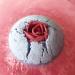 Bomb Cosmetics Handmade Bath Bomb Gift Pack - 3-Piece Set, 480g - 3 Count - Buy Online on GoSupps.com